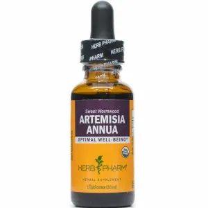 Artemisia annua by Herb Pharm