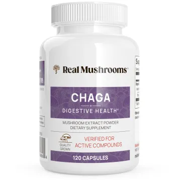Chaga Extract 120 capsules by Real Mushrooms