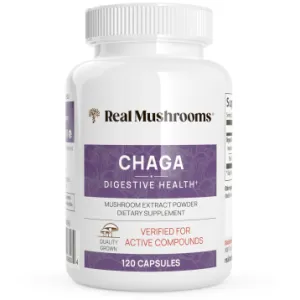 Chaga Extract 120 capsules by Real Mushrooms