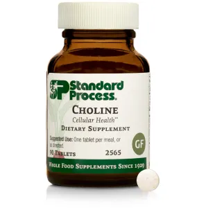 Choline. 90 Tablets