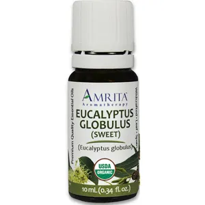 Eucalyptus (Sweet) 10 ml by Amrita Aromatherapy