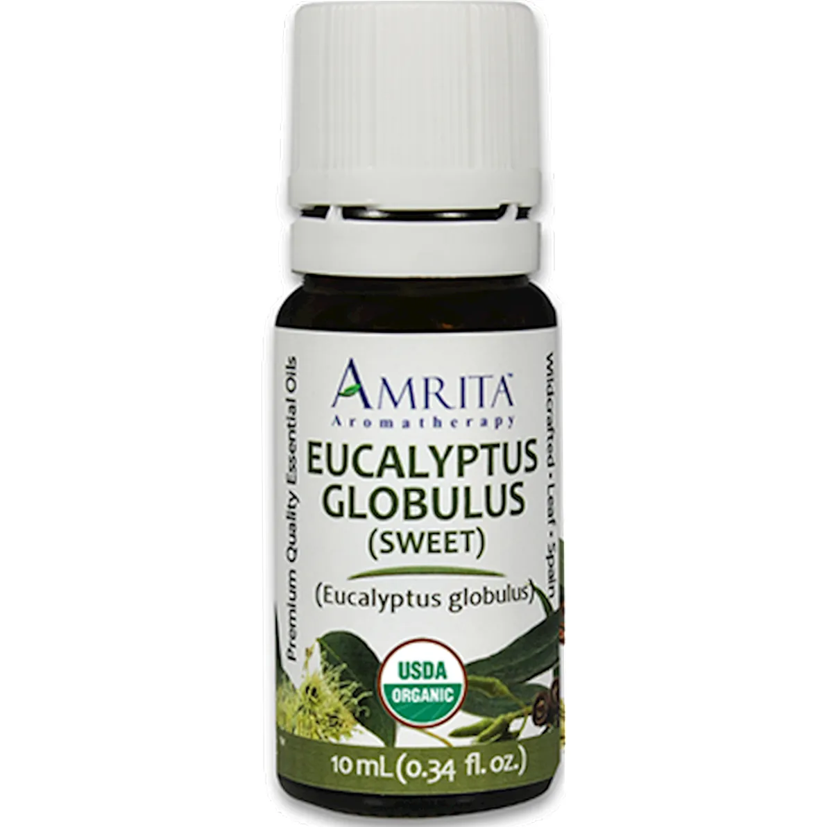 Eucalyptus (Sweet) 10 ml by Amrita Aromatherapy