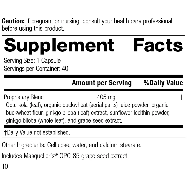 Ginkgo Synergy. 40 Capsules