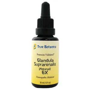 Glandula Suprarenalis (Adrenal) 6X 30 mL by True Botanica
