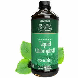 Liquid Chlorophyll Spearmint 16.23 fl oz by Buried Treasure
