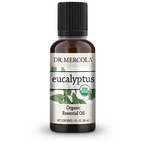 Organic Eucalyptus Essential Oil 1 fl oz by Dr. Mercola