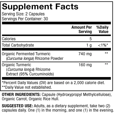 Organic Fermented Turmeric 60 caps by Dr. Mercola