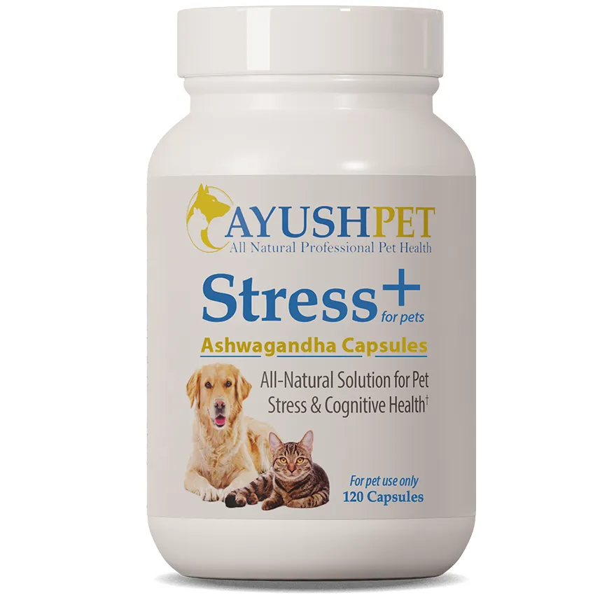 Stress  Ashwagandha 90 caps by Ayush Herbs