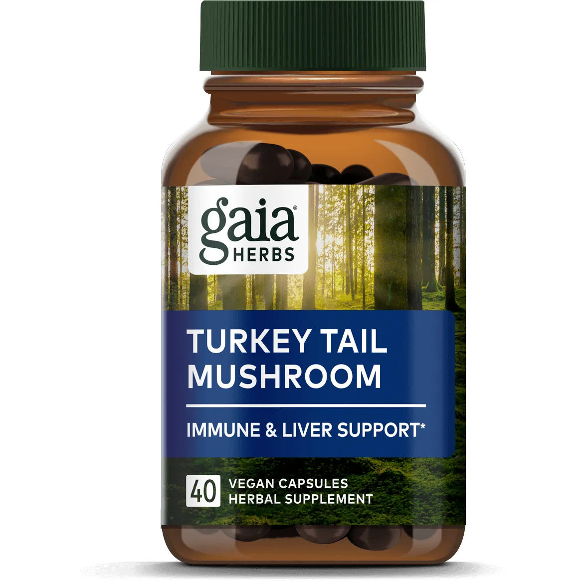 Turkey Tail Mushroom 40 caps By Gaia Herbs
