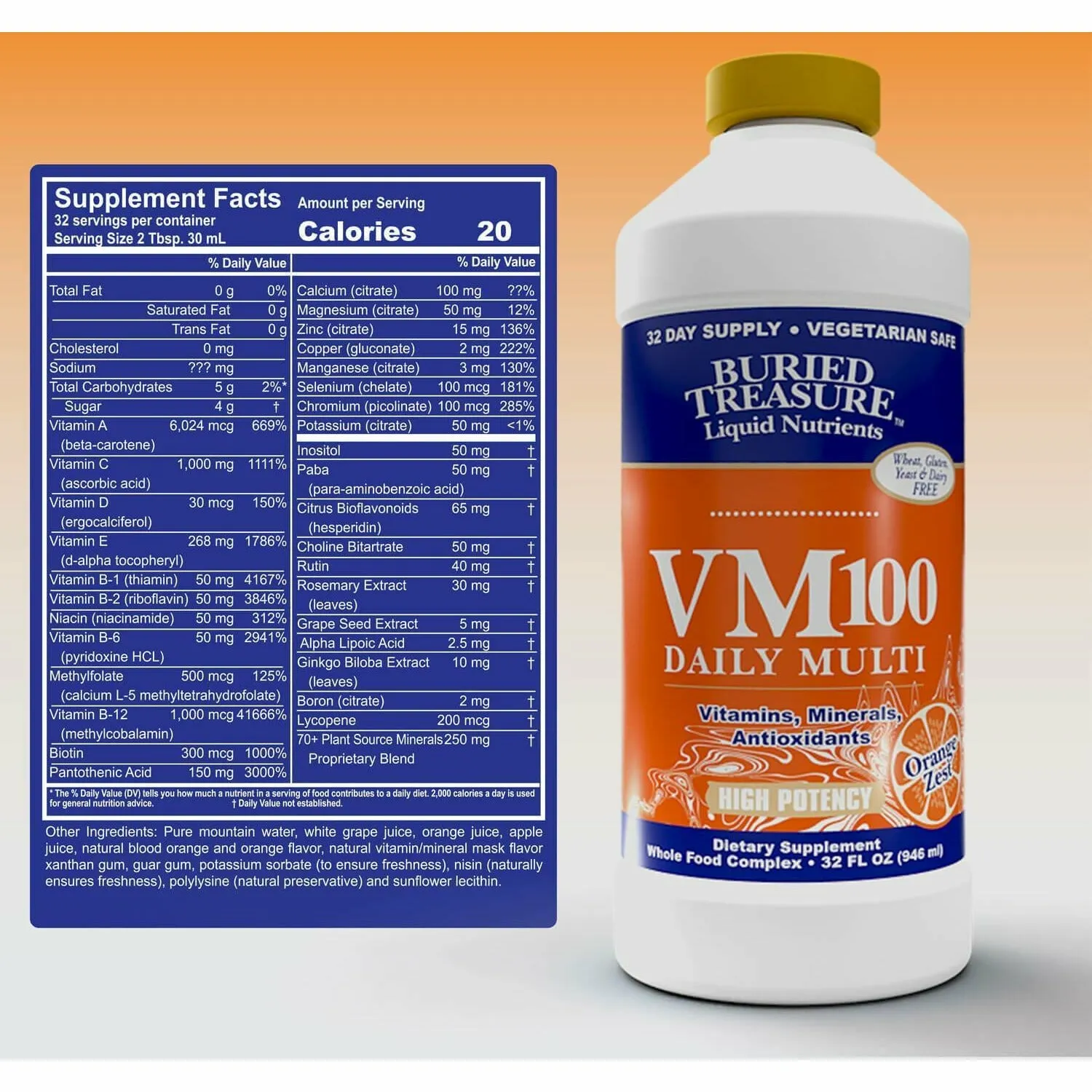 VM 100 Complete 32 fl oz by Buried Treasure